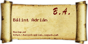 Bálint Adrián névjegykártya