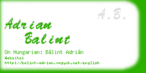 adrian balint business card